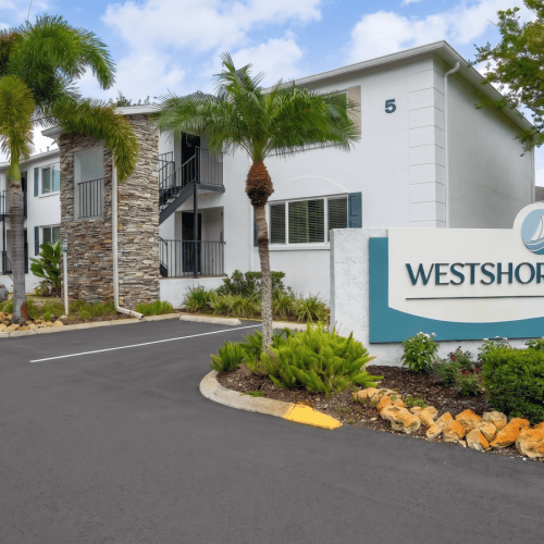 buildings with palm trees in front